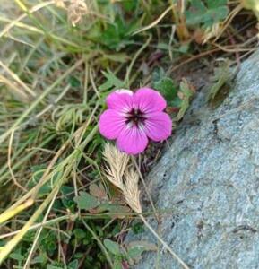 2025/03/images/tour_875/img90921-large.jfif